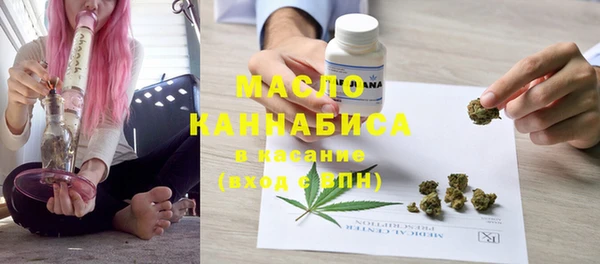 индика Елизово