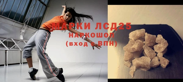 молекула духа Ельня