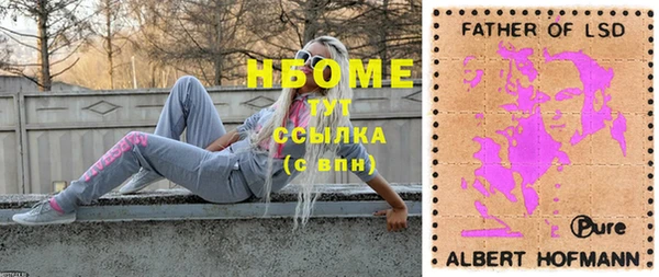 молекула духа Ельня
