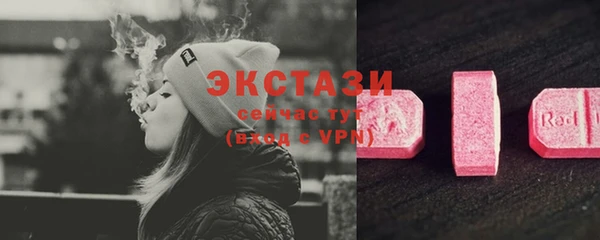 индика Елизово