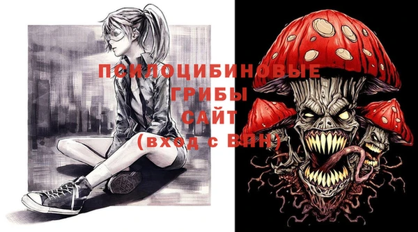 молекула духа Ельня