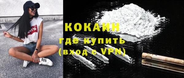 молекула духа Ельня