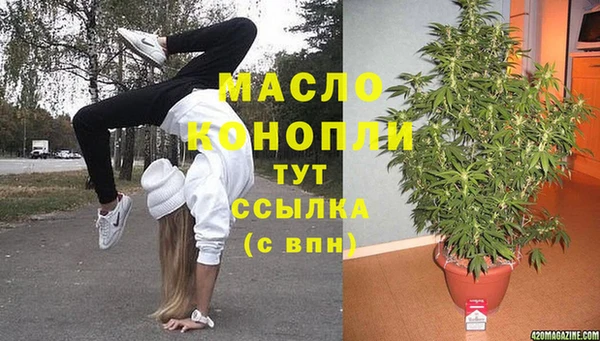 молекула духа Ельня