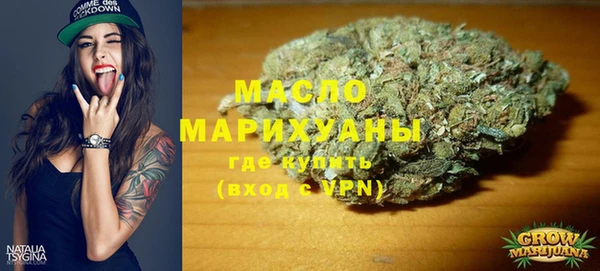 индика Елизово