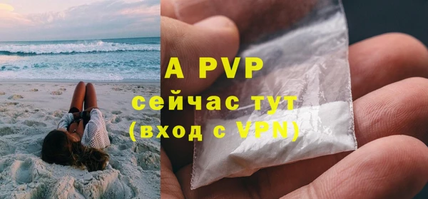 индика Елизово