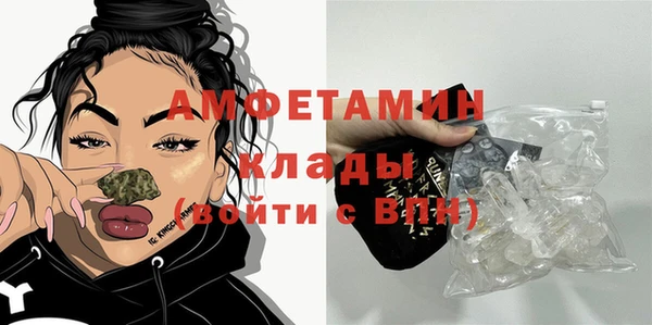 молекула духа Елабуга