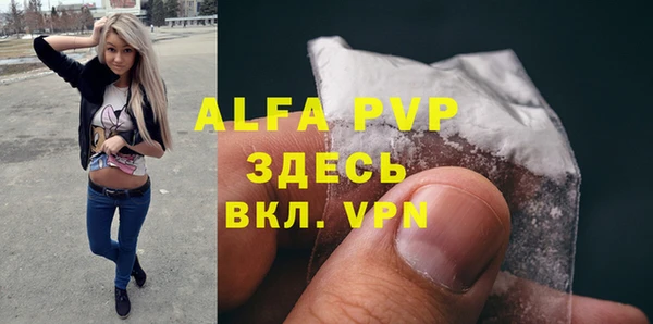 индика Елизово