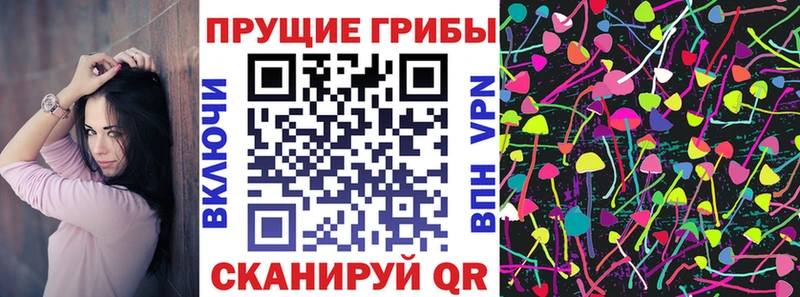 Галлюциногенные грибы GOLDEN TEACHER  Заводоуковск 