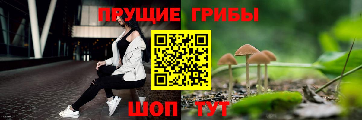 Галлюциногенные грибы мицелий  Псилоцибиновые грибы мицелий  Вход с VPN  Заводоуковск 